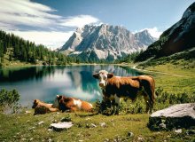 Lermoos Ehrwald Berwang Tiroler Zugspitzarena Österreich © Tiroler Zugspitzarena